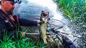 ПОТЕРИ ПРОДОЛЖАЮТСЯ. КЛЯЗЬМА, КАК РАЗДАЕТ - ТАК И ЗАБИРАЕТ. ЩУКА КЛЮЕТ, НО НЕОХОТНО.