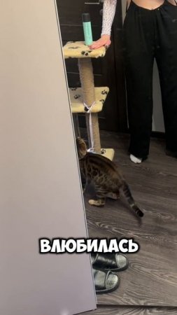С такой фигурой ЭТО носить нельзя! Арт. вб #349373379 от MEnter
