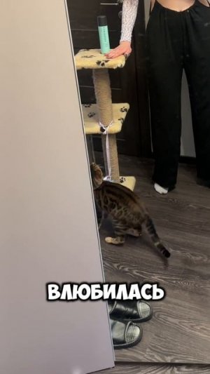 С такой фигурой ЭТО носить нельзя! Арт. вб #349373379 от MEnter