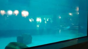 вечер в Москве