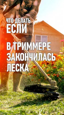 Что делать если у вас закончилась леска в триммере. 
#лайфхак #сад #трава #газон #юмор #смешное