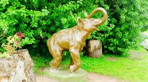 Старый Зоопарк в Казани