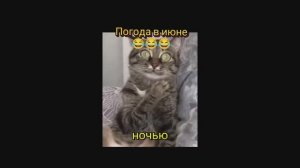 Подборка приколов | Смешные видео | Приятного просмотра #9