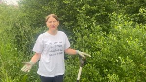 Где взять органику, если на участке  её недостаточно.