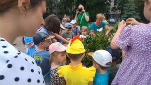 «ZвеZдочка ТВ: Светлый праздник Святой Троицы глазами детей! 🌿✨»