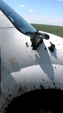 Снова неудачная попытка прорваться на коп(((