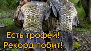 ТРОФЕЙ ВЗЯТ! РЕКОРД ПОБИТ! Были ТРИПЛЕТЫ
