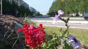 "МИМОХОДОМ", 28 июня 2011 год. Автор проекта О. Дзиов