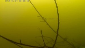 река воронеж, рамонь