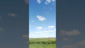 находки в сарае