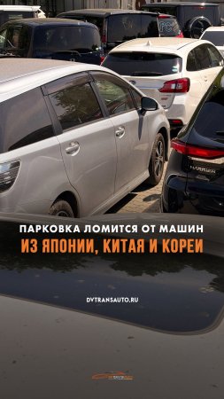 🚗Быстрый обзор нашей парковки, пиши какая машина тебе понравилась!