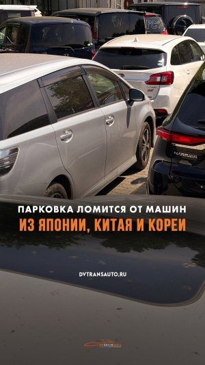 🚗Быстрый обзор нашей парковки, пиши какая машина тебе понравилась!