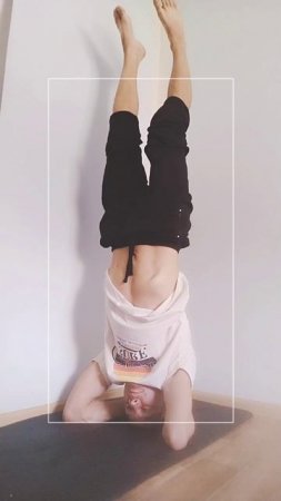 1000022661.mp4