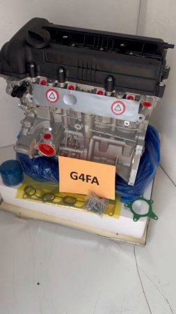 g4fa ml (2)