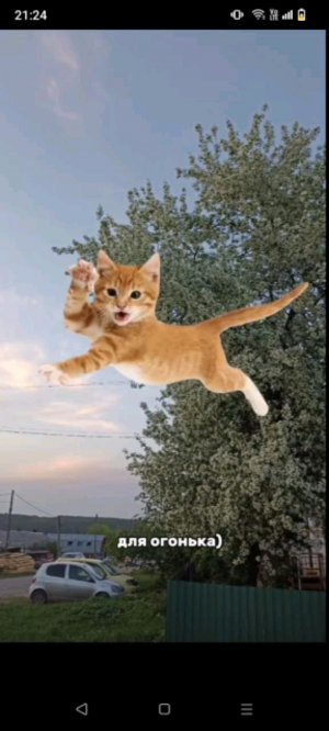 артем