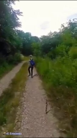 Вот такого всем настроения!