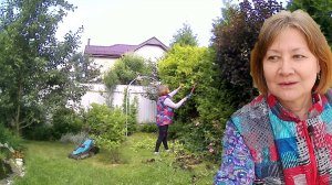 Сад в запустении. Навожу красоту. Ландшафтный дизайн.
