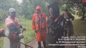 ГБУ «Автомобильные дороги ЗАО» нарушают утвержденный префектом ЗАО регламент содержания ООЗТ и ПТ