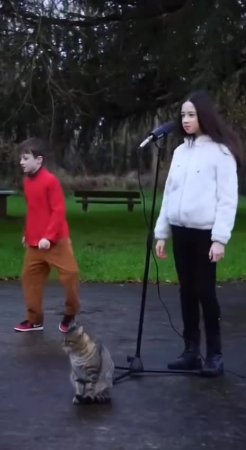Ржу не могу! ))