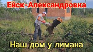 Ейск-Александровка. Спиливаем, чистим. Должанская. Подарки от Юлии. Вылуп цыплят. Инкубатор OVO78👍