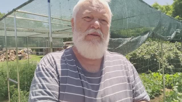 Назад в СССР 2025-06-28