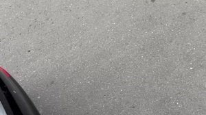 Шкода черная