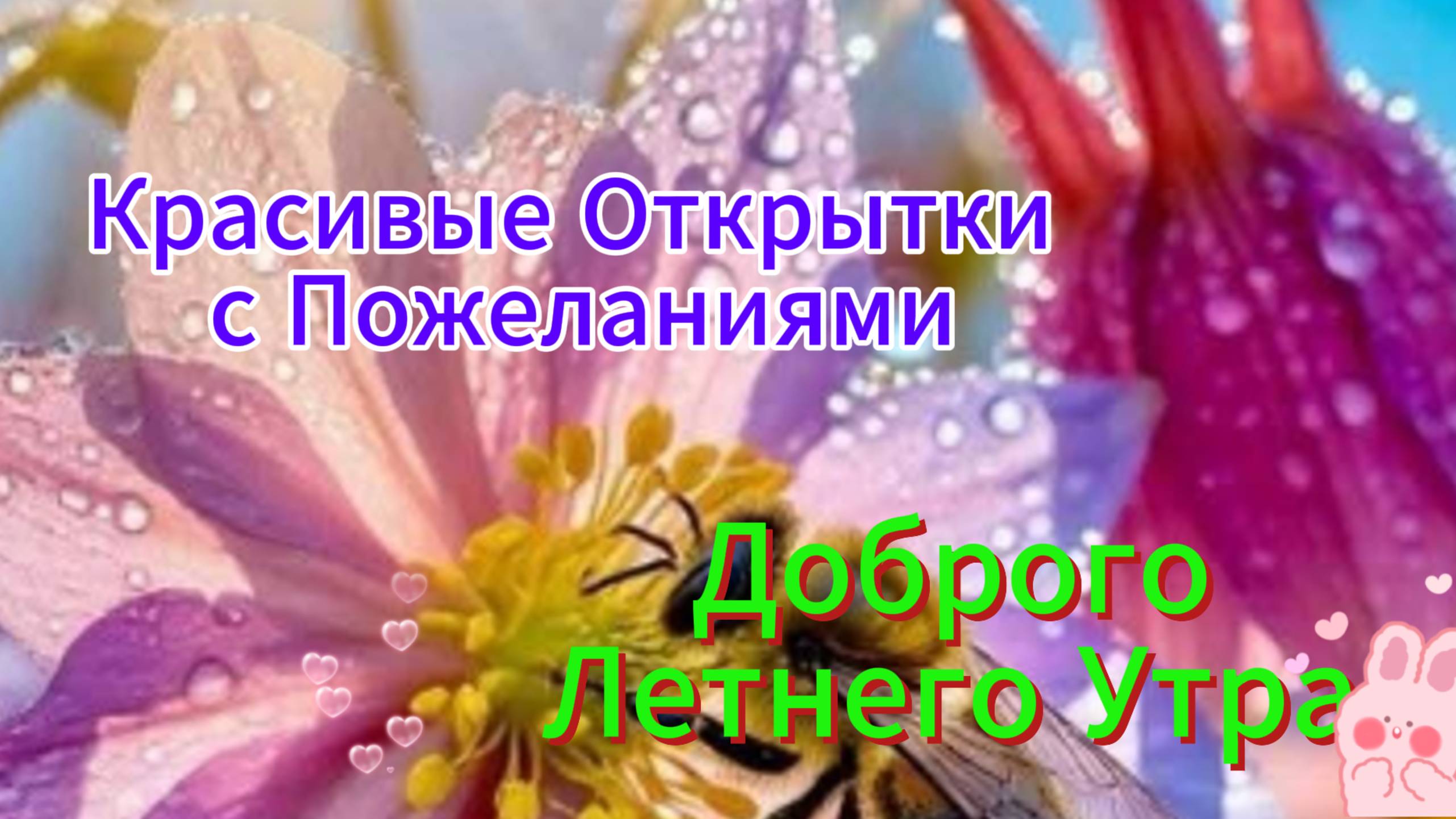 Открытки доброе утро новые красивые бесплатно 🌞 НОВИНКА