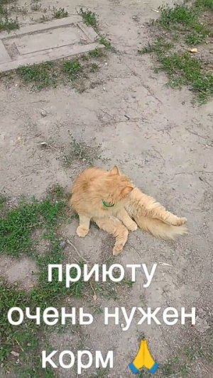 +7985 193 0027 сбер, элплат