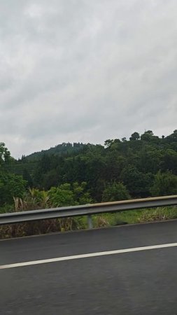 road tea