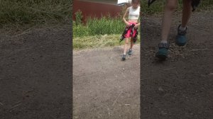 дорога в лес видео