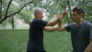 Ушу. Шаолинь Лохань цюань