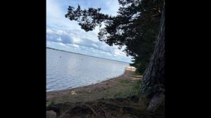 Пляж Зелёная гора Ленинградская область, г Сестрорецк