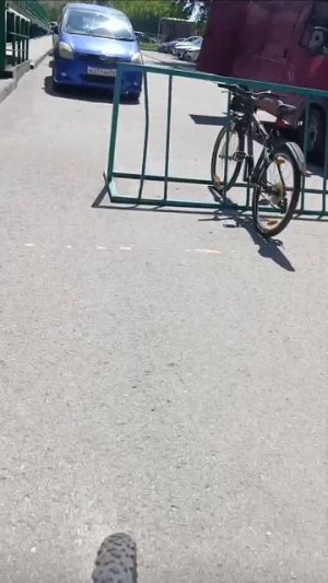 Доставляю заказ на велосипеде и зарабатываю 105р менее чем за пол часа!!!