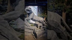 Выставка " Путешествие по России " часть 1