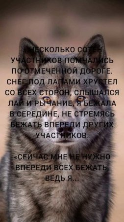 Безымянная история. Часть 1.