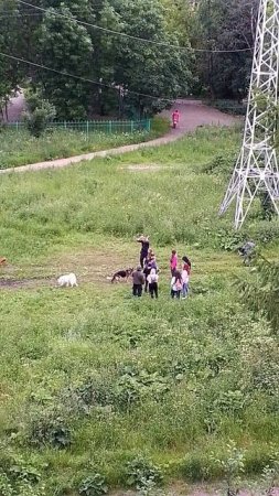 VID_20250627_214802