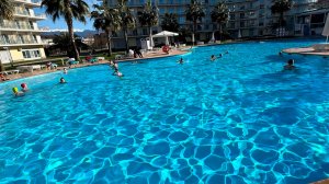 Дорога в Сочи Парк Отель 🌴 Сириус, Олимпийский парк 🐳 Отдых на Черном море