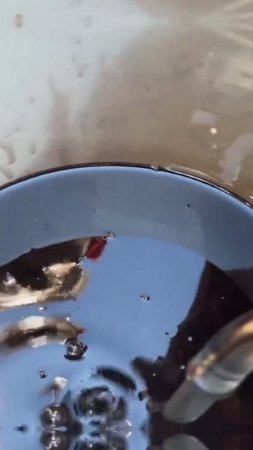 Маслянный насос