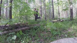 В лес с бензопилой