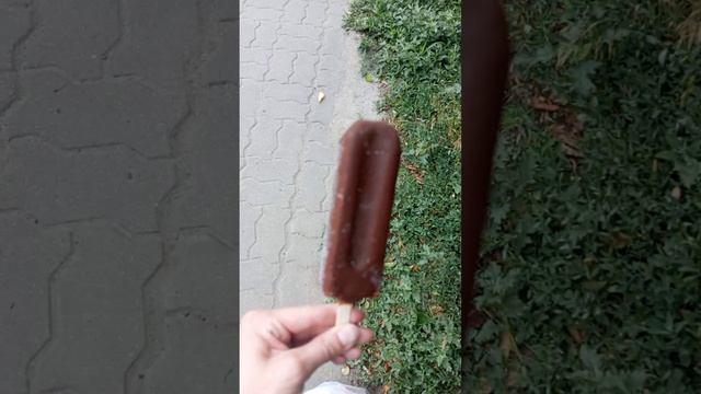 каштан