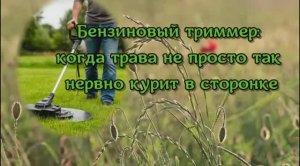 Подробный обзор бензинового триммера: конструкция, характеристики, выбор и эксплуатация