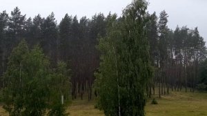 И до нас добрался дождик