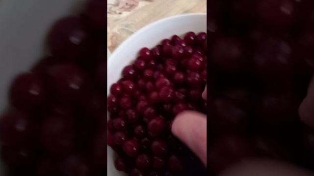 ВИШНЯ САДОВАЯ ВКУСНАЯ!!!!
