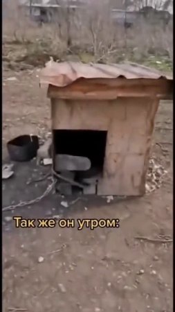 1000051773.mp4