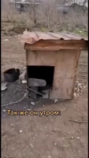 1000051773.mp4