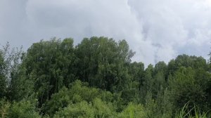 Чёрная смерть приближается!