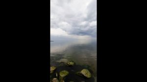 кому то очень везёт