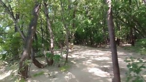 Велопокатушка на Зелёный остров