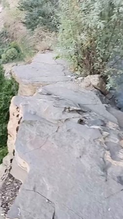 Забытые тропы