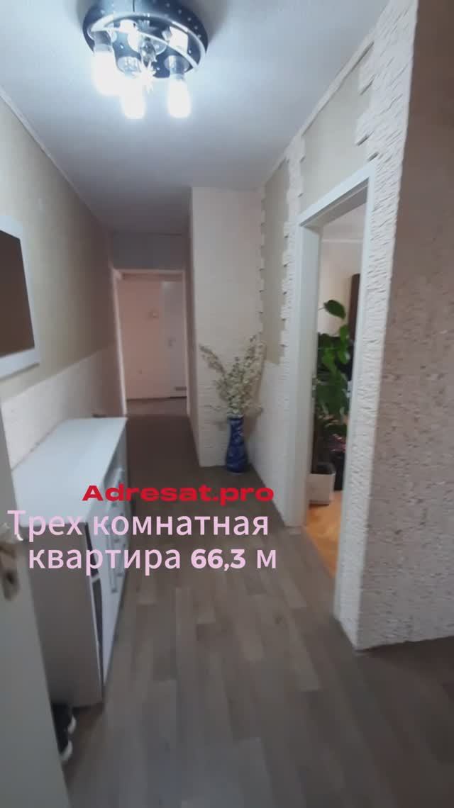 Трехкомнатная квартира 663м